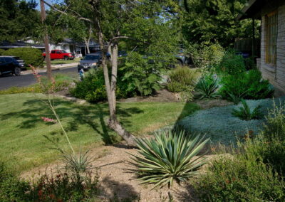 This photo shows a bed with a spiked variegated yucca and silver pony foot filling up the crushed granite.