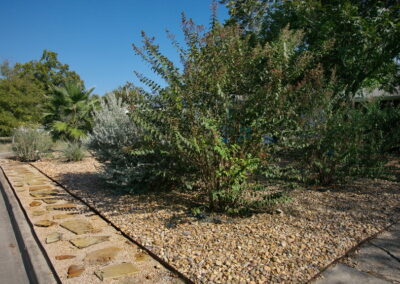 Th photo depicts three large native bushes near the sone walkway and front curb.