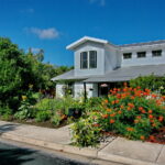 This image depicts a front curb view of 5400 Wellington Dr. It shows a large Pride of Barbados in full bloom with orange, red, and yellow flowers. You'll also find several types of sunflowers, along with large blue salvias and pink rose bushes.
