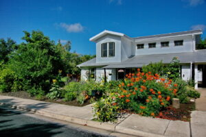 This image depicts a front curb view of 5400 Wellington Dr. It shows a large Pride of Barbados in full bloom with orange, red, and yellow flowers. You'll also find several types of sunflowers, along with large blue salvias and pink rose bushes.