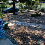 An image of a blue bottle tree which is to the right of the front door.