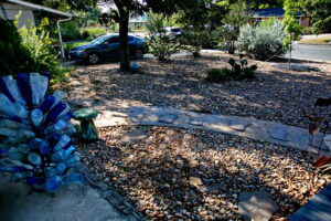 An image of a blue bottle tree which is to the right of the front door.