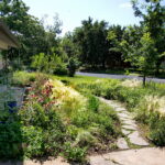 A winding road pathway cuts through the meadow garden and leads to the front porch. You'll find various colors of pollinator plants surrounding the path.