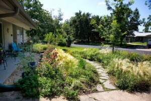 A winding road pathway cuts through the meadow garden and leads to the front porch. You'll find various colors of pollinator plants surrounding the path.