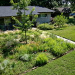 A birds eye view of the meadow garden. You'll find flowers of yellow, purple, pink, orange, blue, and red in this inviting garden.