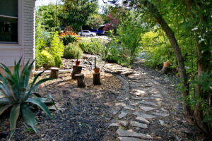 A view of a stone walkway winding around the house. Along the trail is a large blue Agave. There are cut off tree stumps with small flower pots on top of each one.