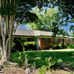 Another view of the front of the home with a variety of shade trees including pecan, and crepe myrtles. You'll also find several sago palms.