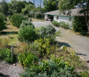 A birds eye view of the large side yard which contains several species of native bushes and flowers. You'll find Texas sage, plumbago, lantana, crepe myrtles, rose bushes, and a variety of cannas.