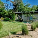 This is an image of the curved bed to the left of house which curves to the street and contains several pink muhly grasses which are just begging to show their vibrant color.