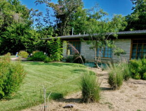 This is an image of the curved bed to the left of house which curves to the street and contains several pink muhly grasses which are just begging to show their vibrant color.