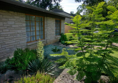 This image depicts a yucca in full bloom with a beautiful full spike of creamy yellow flowers. It is anchored by a pride of Barbados to the left.