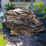 This image shows a close-up view of the large boulder with intricate layers and striations. It is surrounded by pricey pear cacti and a sago palm.