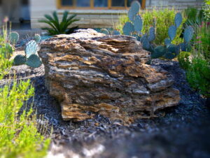 This image shows a close-up view of the large boulder with intricate layers and striations. It is surrounded by pricey pear cacti and a sago palm.