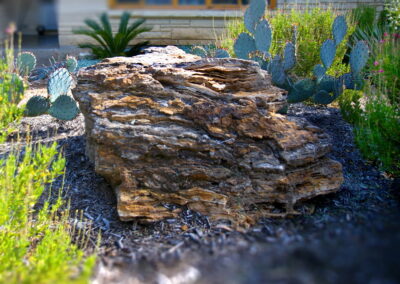 This image shows a close-up view of the large boulder with intricate layers and striations. It is surrounded by pricey pear cacti and a sago palm.