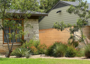 This is an image showing one of the beds near the left of the house. You'll find mesquite trees, coral yucca, red sage, and purple fountain grass planted in beds of crushed granite.