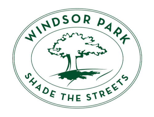 Shade the Streets Logo with the Windsor Park Tree and an added shadow